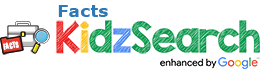 KidzSearch Facts - Safe Search Engine